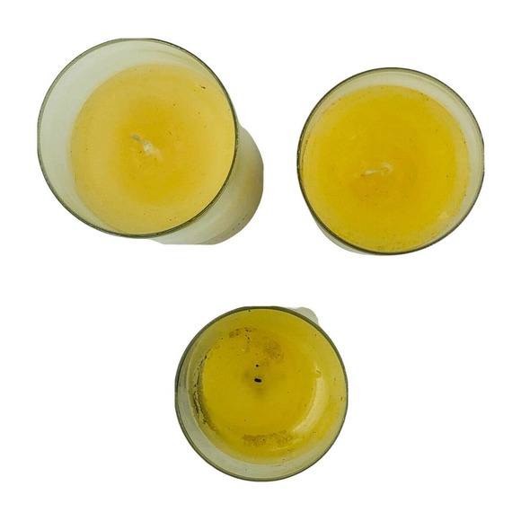 Yankee Candle CELEBRATE HOME Sweet Magnolia And Mandarin Retired Rare Set - Picture 3 of 9